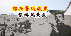 用笔插逼视频网址中国绍兴-鲁迅故里旅游风景区