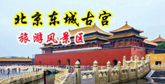 嫩逼的免费视频中国北京-东城古宫旅游风景区